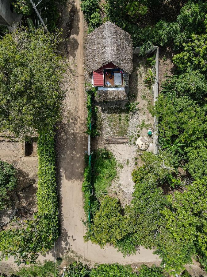 Rustiko Palomino Sierra Nevada Apartman Kültér fotó